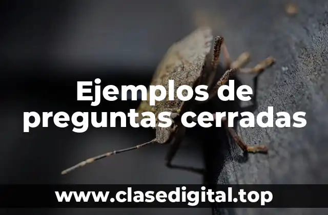 Ejemplos de preguntas cerradas