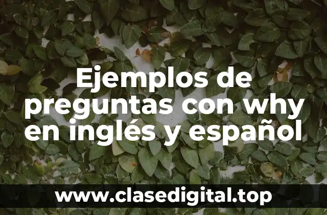Ejemplos de preguntas con why en inglés y español