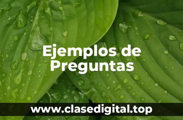 Ejemplos de preguntas