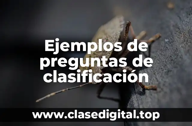 Ejemplos de preguntas de clasificación
