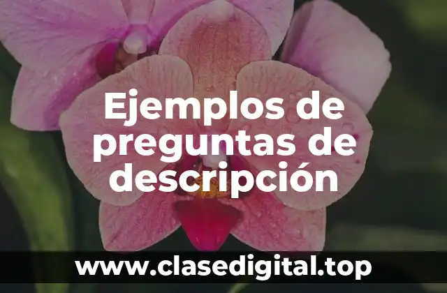 Ejemplos de preguntas de descripción
