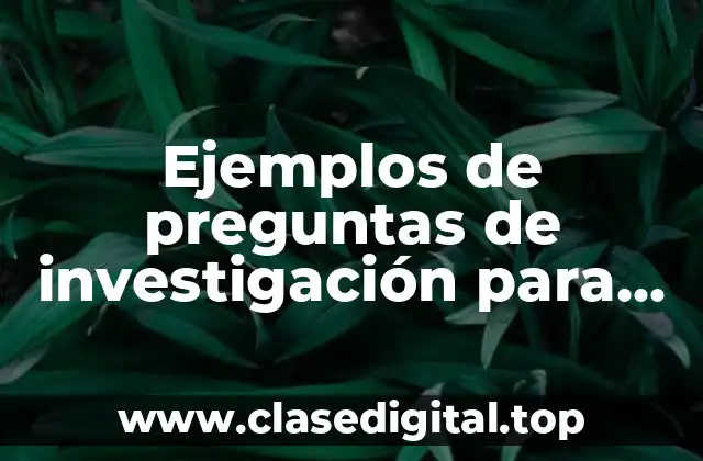 Ejemplos de preguntas de investigación para un hotel de mascotas