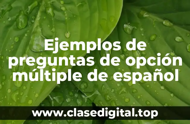Ejemplos de preguntas de opción múltiple de español