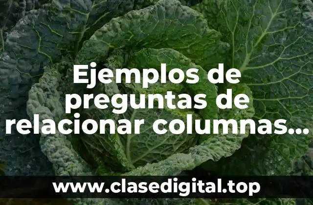 Ejemplos de preguntas de relacionar columnas y completar oraciones y Significado