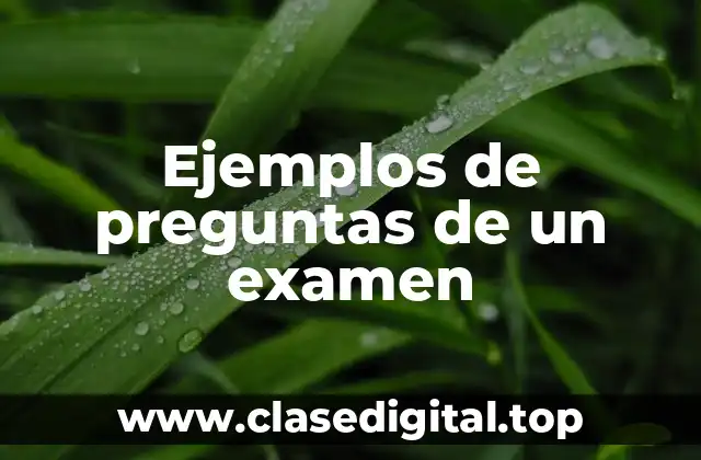 Ejemplos de preguntas de un examen