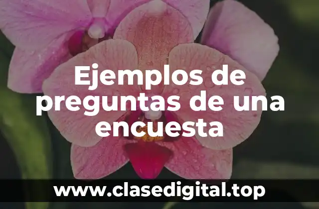 Ejemplos de preguntas de una encuesta