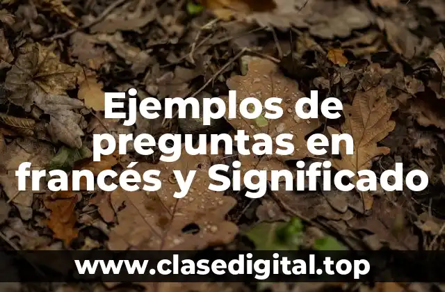 Ejemplos de preguntas en francés y Significado