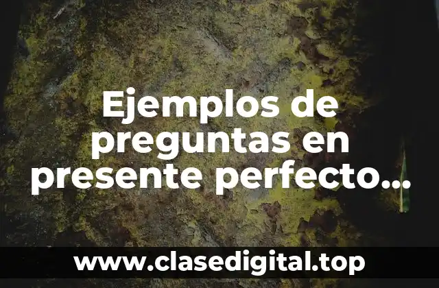 Ejemplos de preguntas en presente perfecto continuo en inglés