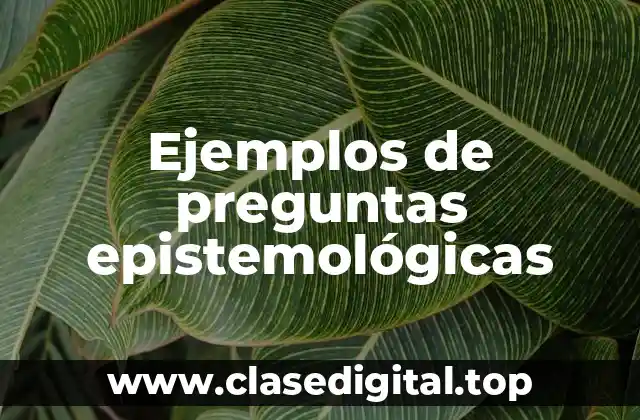 Ejemplos de preguntas epistemológicas