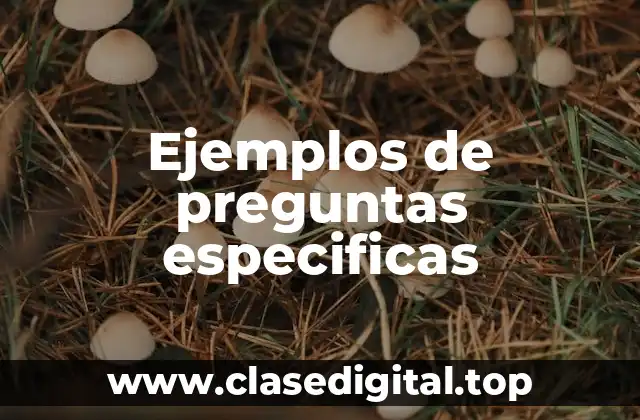 Ejemplos de preguntas especificas