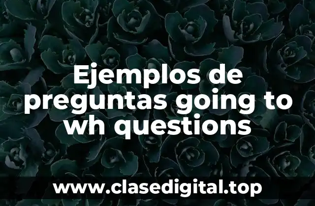 Ejemplos de preguntas going to wh questions