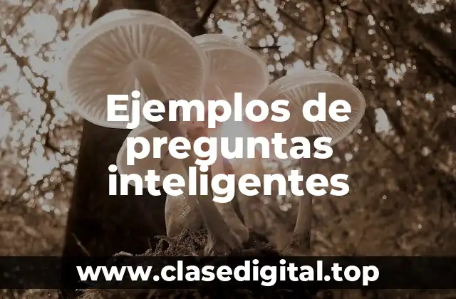 Ejemplos de preguntas inteligentes