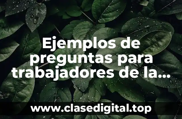 Ejemplos de preguntas para trabajadores de la cervecera grupo modelo y Significado