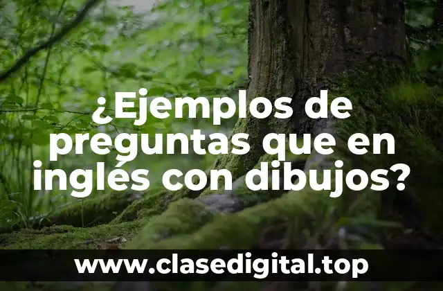 ¿Ejemplos de preguntas que en inglés con dibujos?