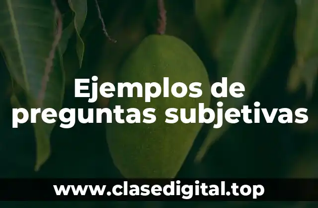 Ejemplos de preguntas subjetivas