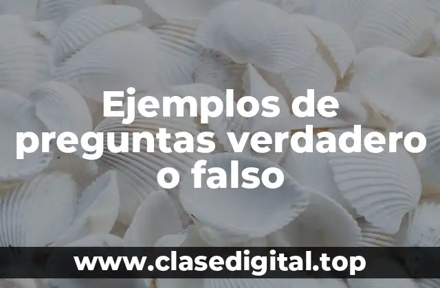 Ejemplos de preguntas verdadero o falso
