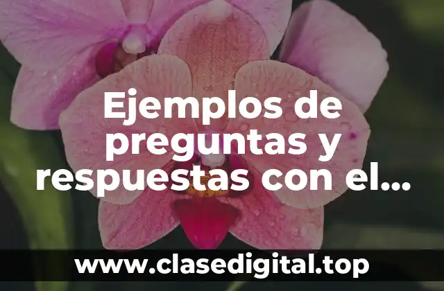 Ejemplos de preguntas y respuestas con el verbo to be y Significado