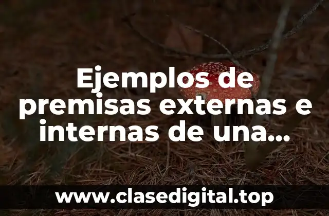 Ejemplos de premisas externas e internas de una empresa