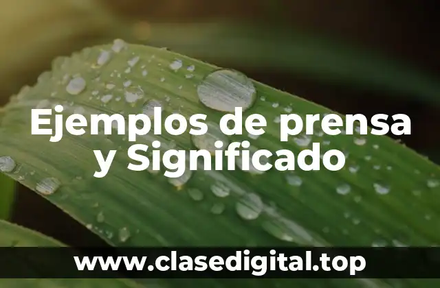Ejemplos de prensa y Significado
