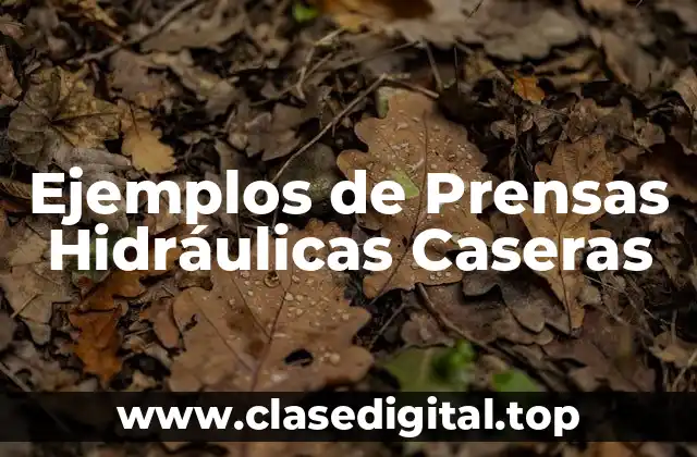 Ejemplos de Prensas Hidráulicas Caseras