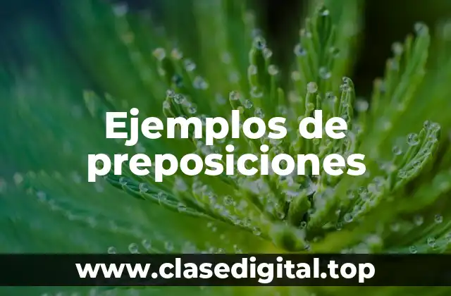 Ejemplos de preposiciones