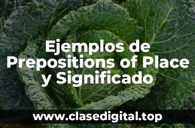 Ejemplos de Prepositions of Place y Significado