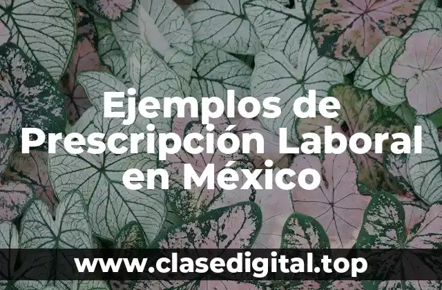 Ejemplos de Prescripción Laboral en México