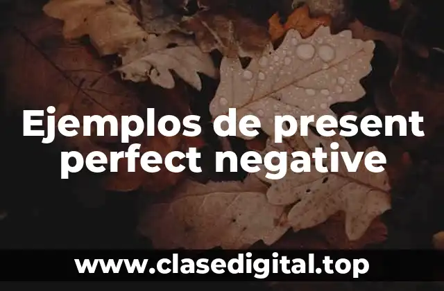 Ejemplos de present perfect negative