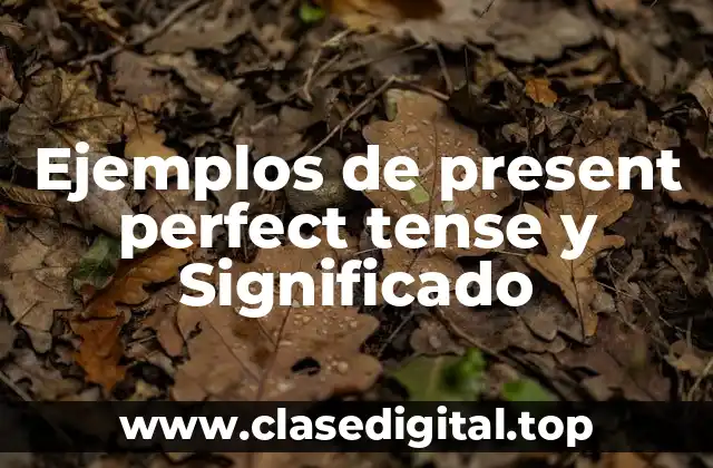 Ejemplos de present perfect tense y Significado