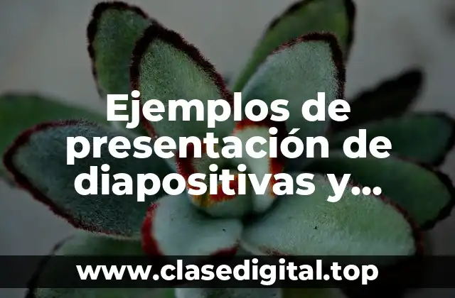 Ejemplos de presentación de diapositivas y Significado