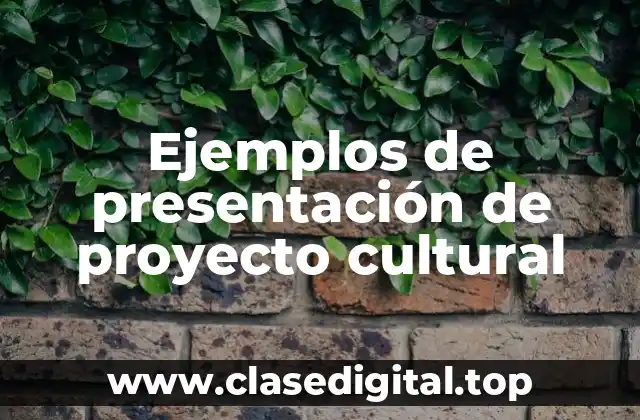Ejemplos de presentación de proyecto cultural