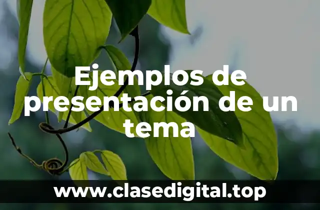 Ejemplos de presentación de un tema