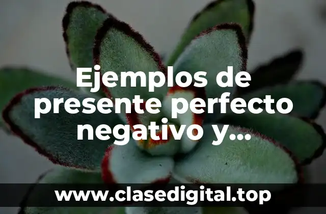 Ejemplos de presente perfecto negativo y Significado