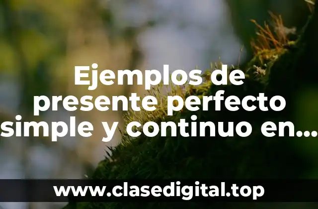 Ejemplos de presente perfecto simple y continuo en inglés