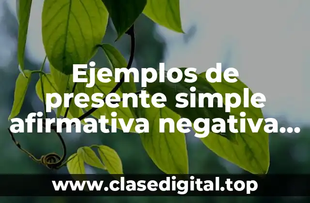 Ejemplos de presente simple afirmativa negativa interrogativa