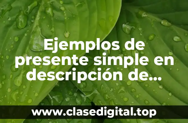 Ejemplos de presente simple en descripción de rutinas en inglés