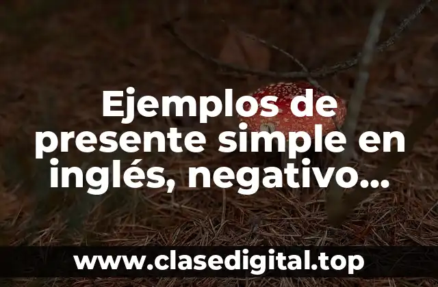 Ejemplos de presente simple en inglés, negativo, positivo y interrogativo.