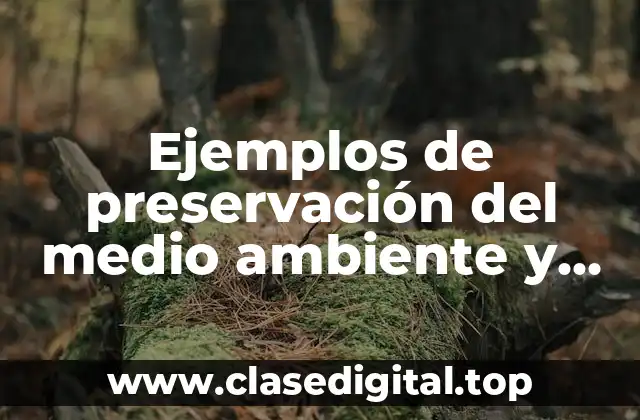 Ejemplos de preservación del medio ambiente y Significado