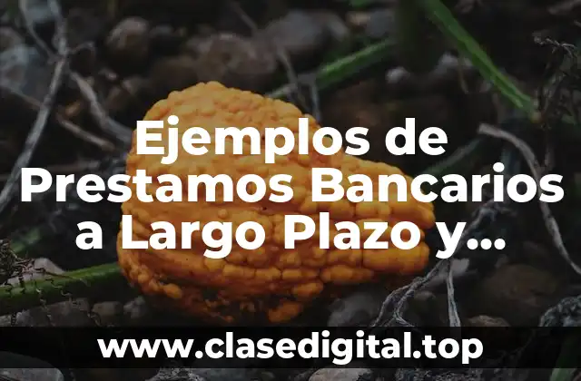 Ejemplos de Prestamos Bancarios a Largo Plazo y Significado