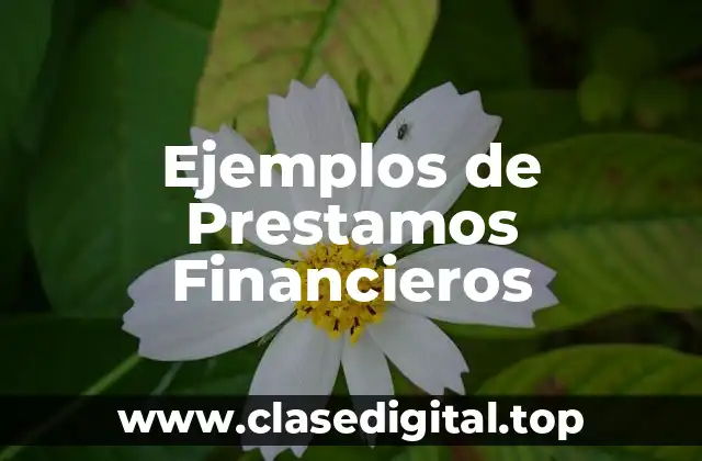 Ejemplos de Prestamos Financieros