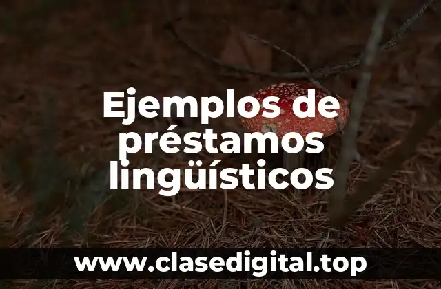 Ejemplos de préstamos lingúisticos