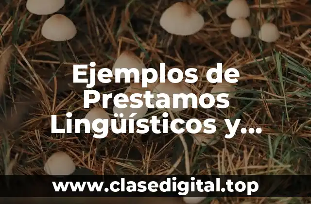 Ejemplos de Prestamos Lingüísticos y Significado