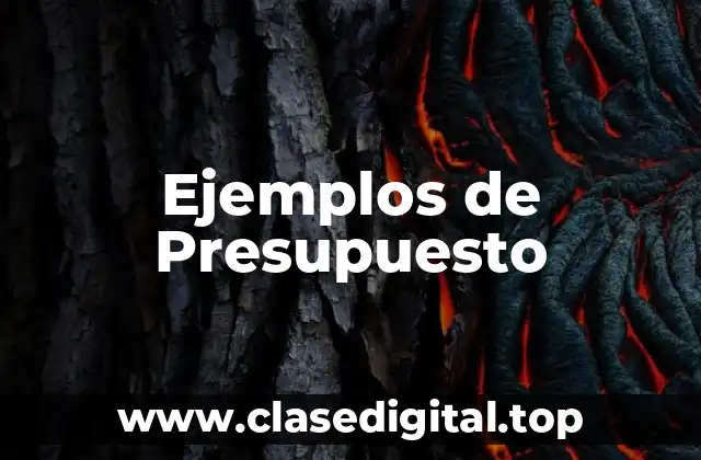 Ejemplos de Presupuesto