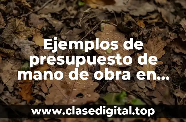 Ejemplos de presupuesto de mano de obra en construcción