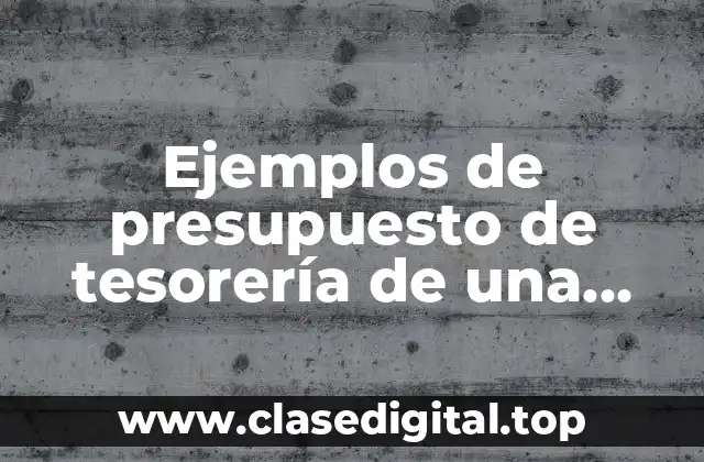 Ejemplos de presupuesto de tesorería de una empresa