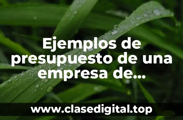 Ejemplos de presupuesto de una empresa de transporte