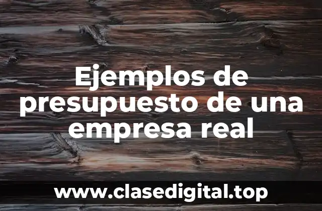 Ejemplos de presupuesto de una empresa real