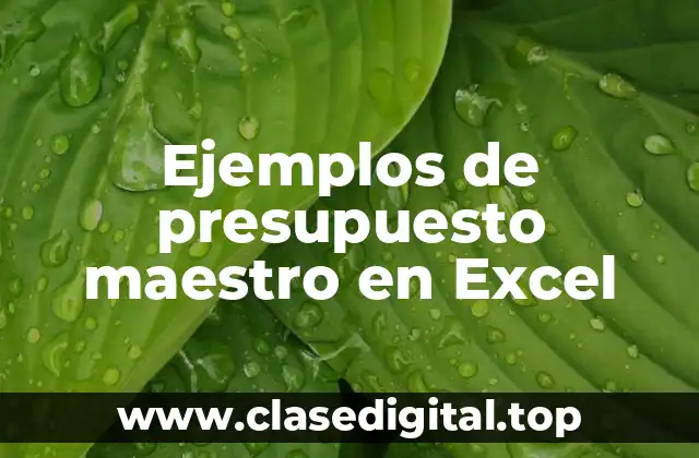 Ejemplos de presupuesto maestro en Excel