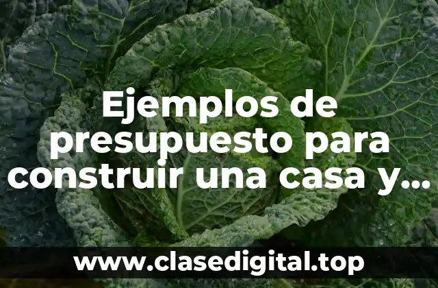 Ejemplos de presupuesto para construir una casa y Significado