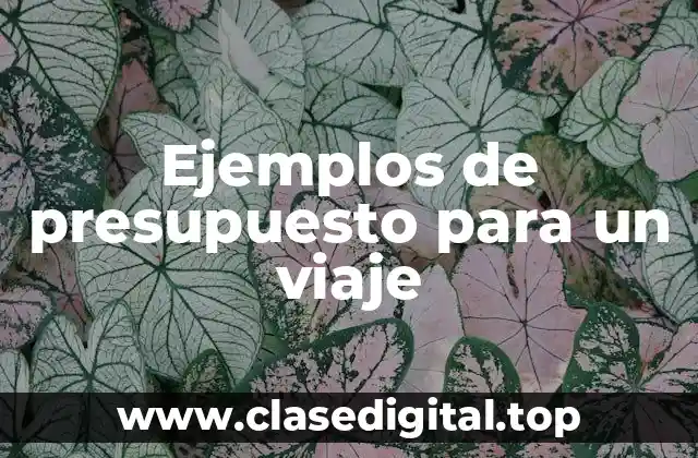Ejemplos de presupuesto para un viaje